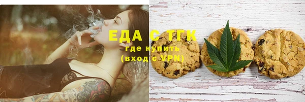 индика Сосновка