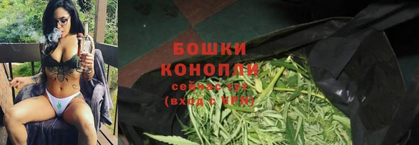 индика Сосновка