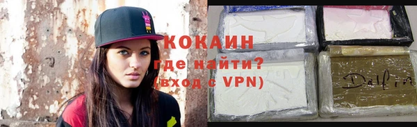 индика Сосновка