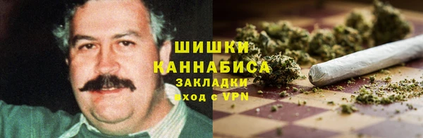 молекула духа Сосновый Бор