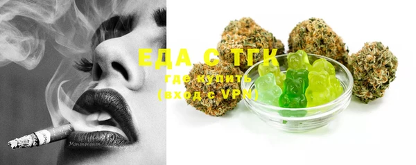 индика Сосновка