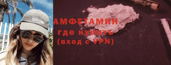 индика Сосновка