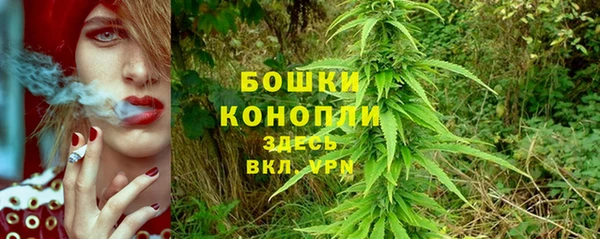 шишки Сосновоборск
