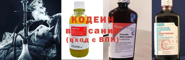 индика Сосновка
