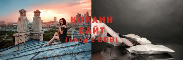 шишки Сосновоборск