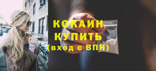 шишки Сосновоборск