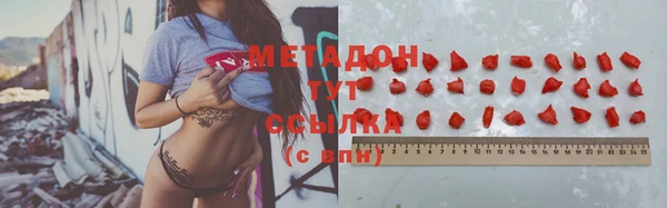 индика Сосновка