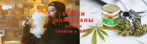 молекула духа Сосновый Бор