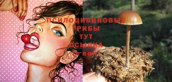 молекула духа Сосновый Бор