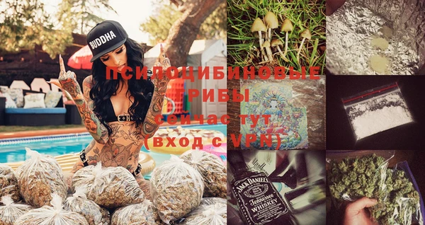 индика Сосновка