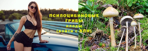 шишки Сосновоборск