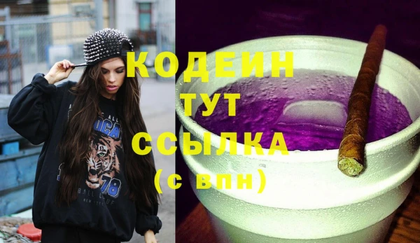 шишки Сосновоборск