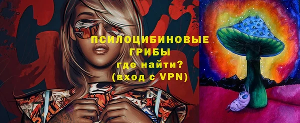 молекула духа Сосновый Бор