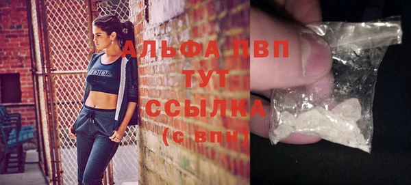 молекула духа Сосновый Бор