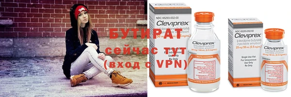 шишки Сосновоборск