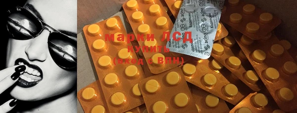 индика Сосновка