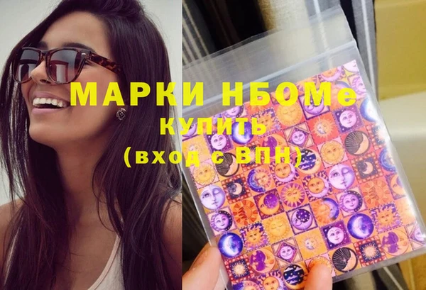 индика Сосновка