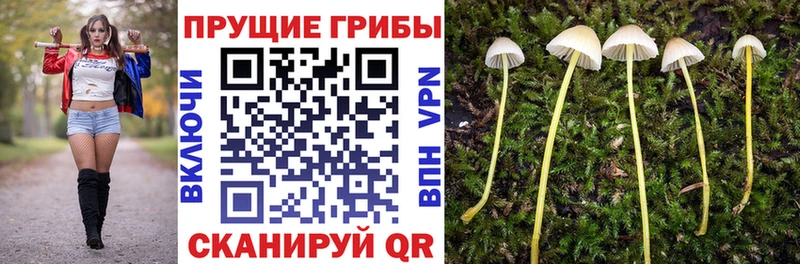 Купить закладки  Оха  Псилоцибиновые грибы ЛСД 